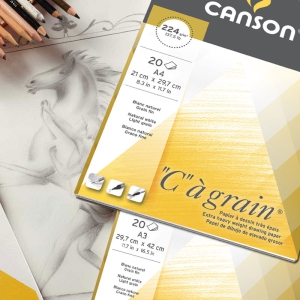 Blocco Canson "C" a Grain 224gr