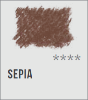 Seppia Carboncino a Matita Contè a Paris