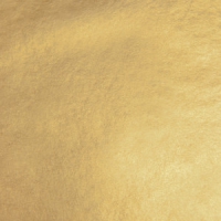 FOGLIA ORO IMITAZIONE COLORE 2,5 cm  14X14  DECALCO 25 FF